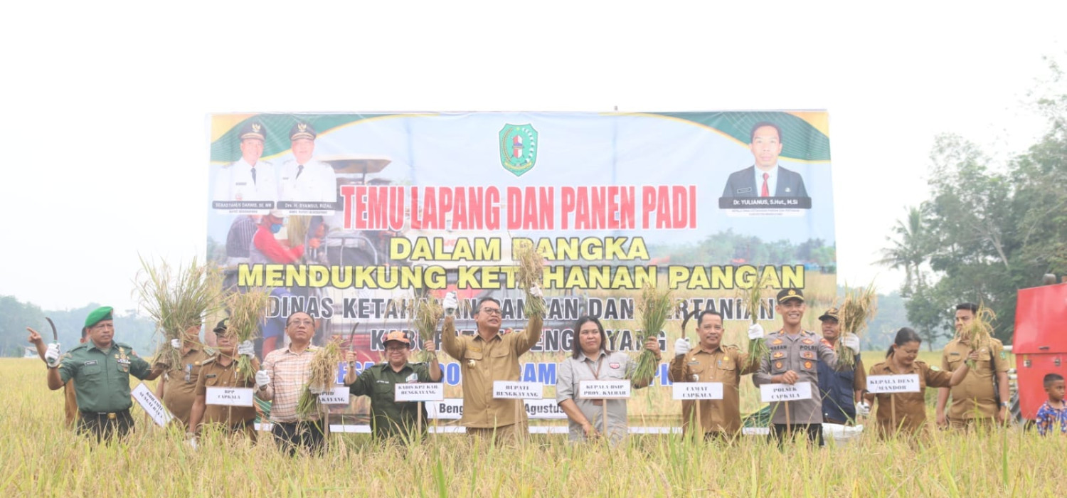 Temu Lapang Panen Padi